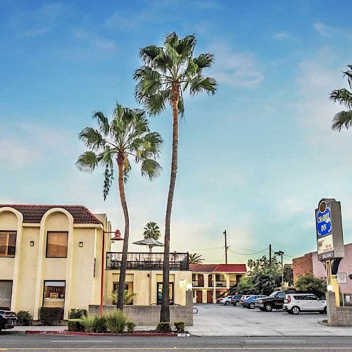 This image shows a street view of a motel with palm trees and a clear blue sky. There's a parking area with cars in front of the buildings.