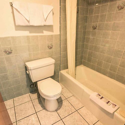 This image shows a bathroom with a toilet, bathtub, shower curtain, tiled walls, and floor. Towels are on a rack above the toilet and by the tub's edge.