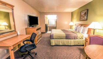 A hotel room includes a bed, desk with a chair, TV on a dresser, two lamps, and a green accent wall with a picture frame.